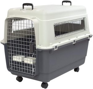 travel crate for dogs airline