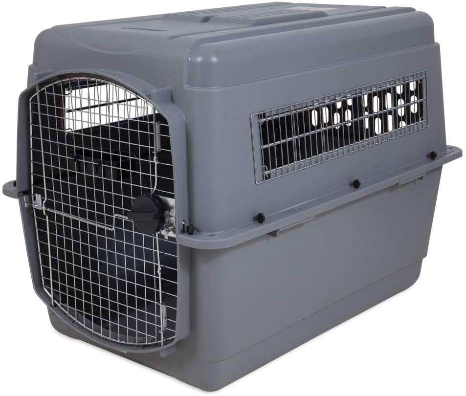 air travel kennel for dogs