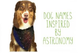 Astronomy Dogs Names