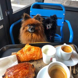 French Cuisine Inspired Dog Names
