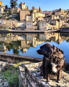 French Riviera and Province Names to Give to Dogs